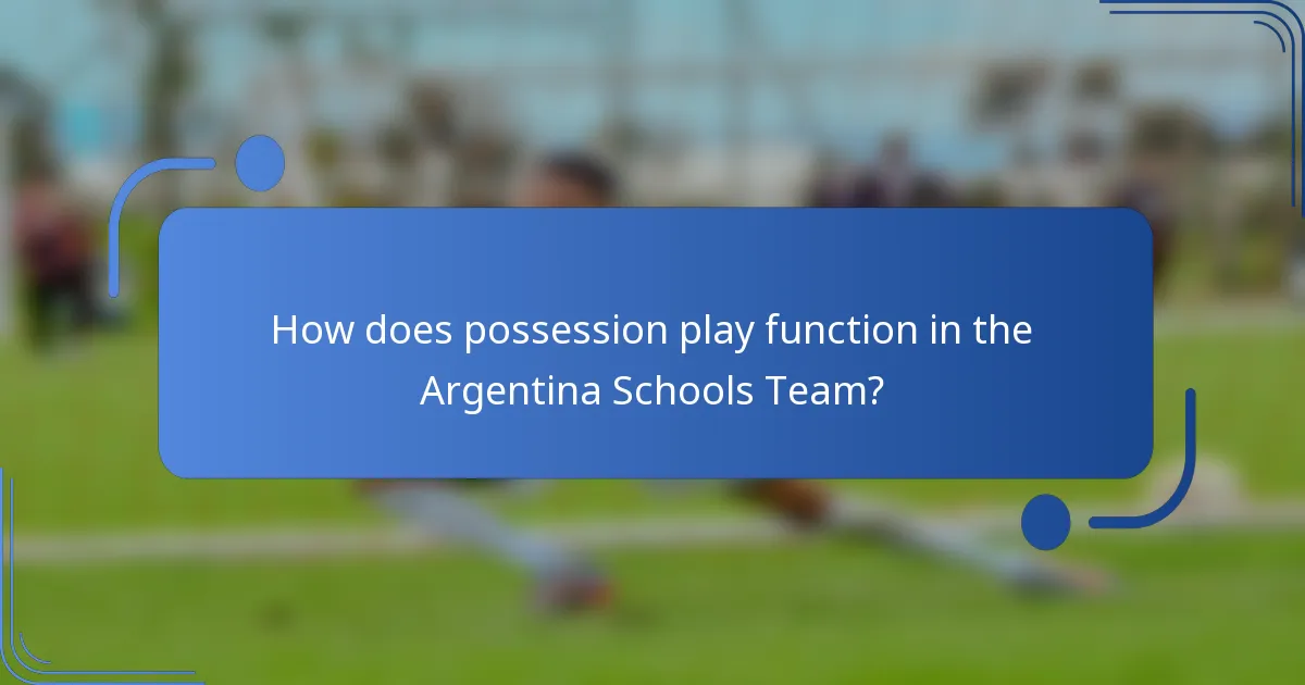 How does possession play function in the Argentina Schools Team?